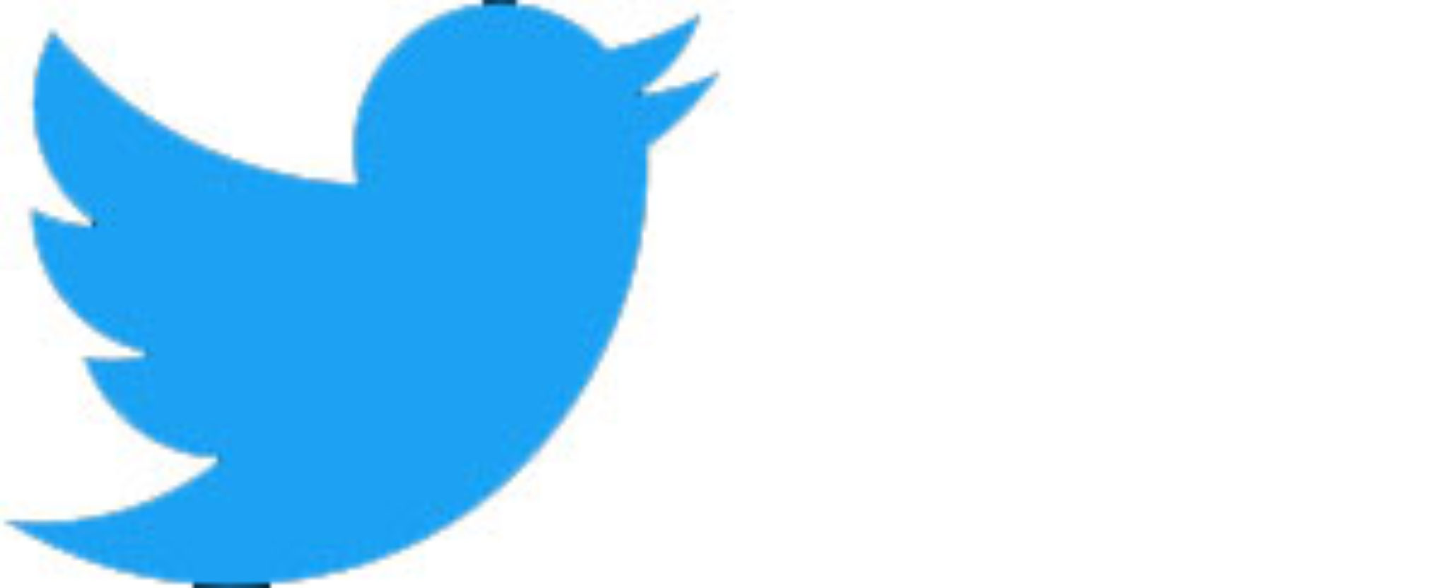 Твиттер пани. Твиттер 3д лого. Twitter Emoji. Эмодзи Твиттер. Сердце Твиттер.